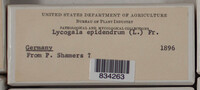 Image Associated With the Occurence
